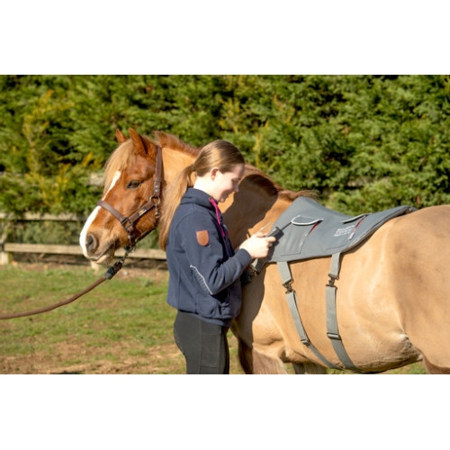 Equilibrium Massage Back Pad 3 Length Sizes Available